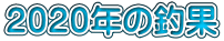 ２０２０年の釣果