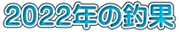 ２０２２年の釣果