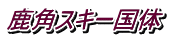 ���p�X�L�[����