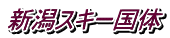 �V���X�L�[����